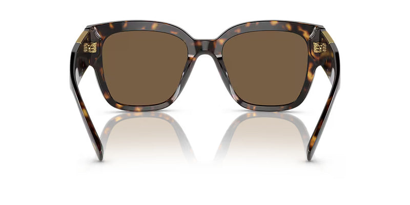 Havana Dark Brown Sunglasses