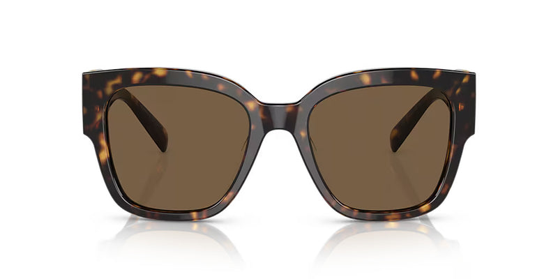 Havana Dark Brown Sunglasses