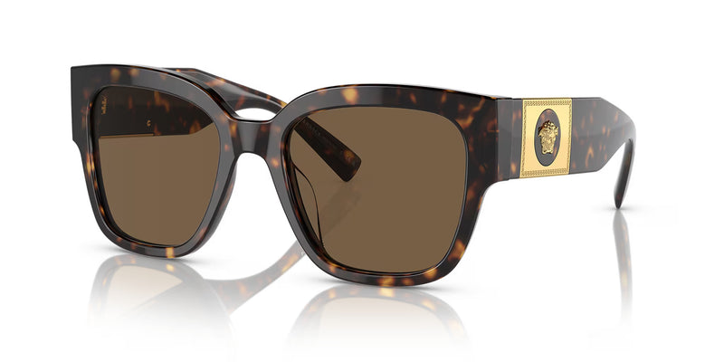 Havana Dark Brown Sunglasses