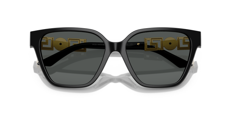 Sunglasses with Gold Dimonte Greca in Black