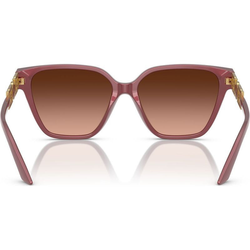 Sunglasses with Gold Dimonte Greca in Perla Dark Ruby