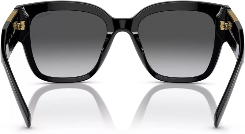 Black Polarised Sunglasses with Grey Gradient