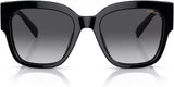 Black Polarised Sunglasses with Grey Gradient