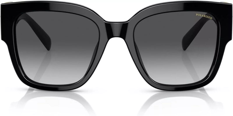 Black Polarised Sunglasses with Grey Gradient